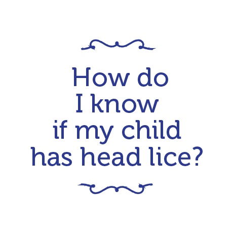 How do I know if my child has head lice?